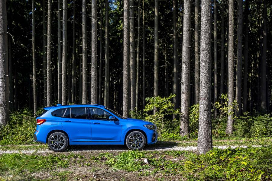  BMW X1 xDrive25i M Sport (F48) 2019 года  (WW) (фото 48 из 112)